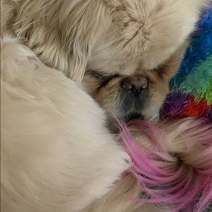 Meet your Posher, James